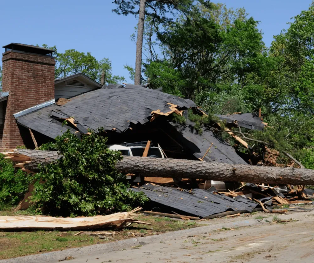Property Damage