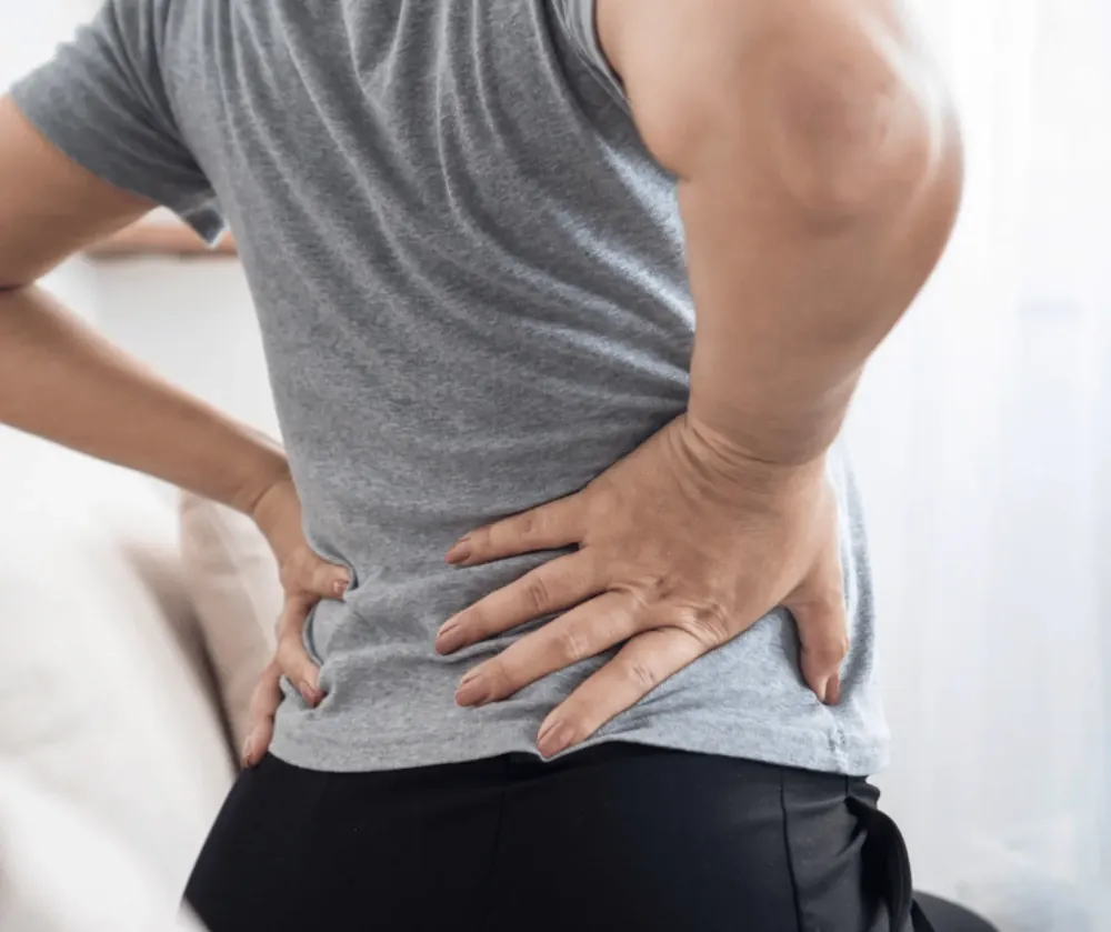 Back Spine