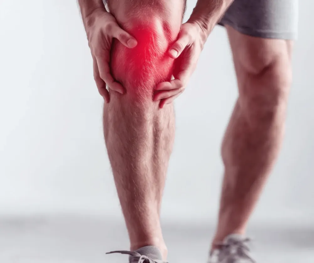 Knee