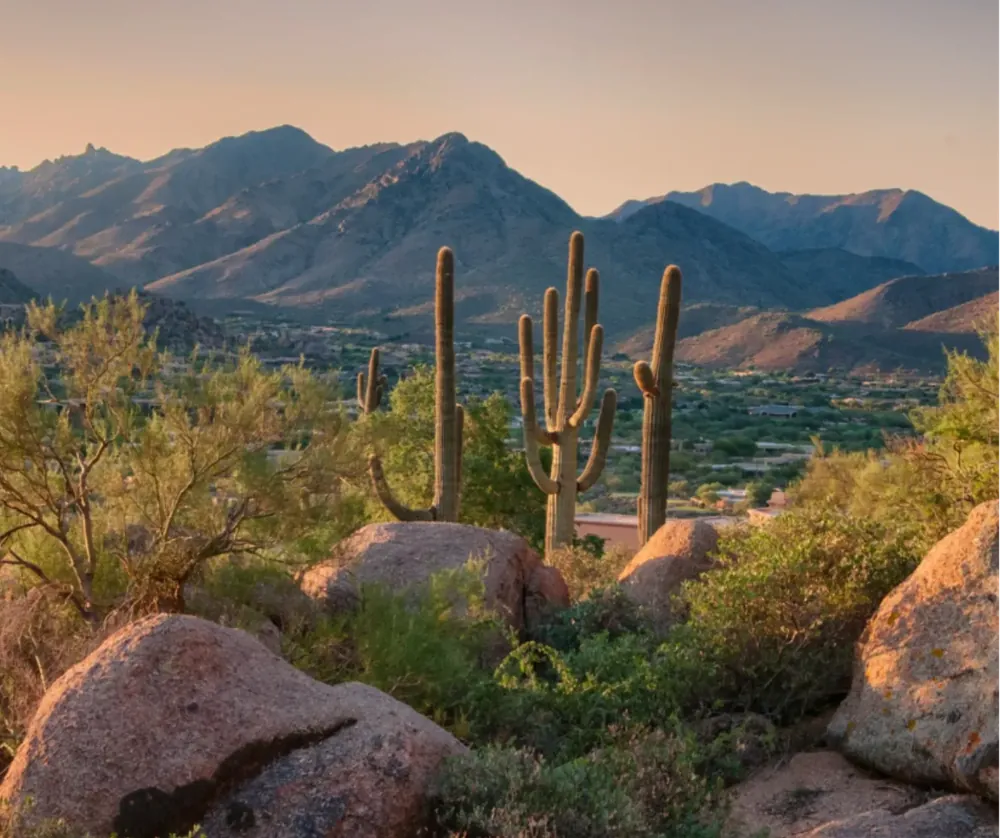 Arizona