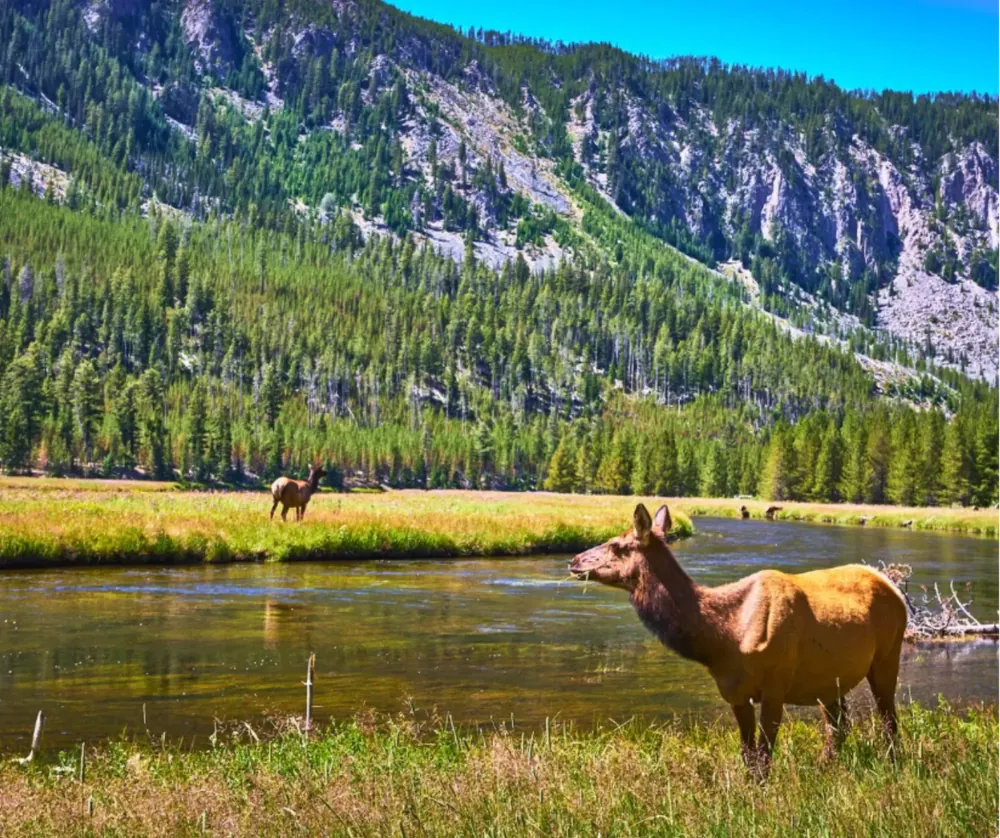 Wyoming
